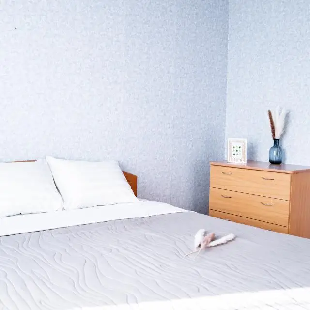 Real photos of Apartments on Volskaya street