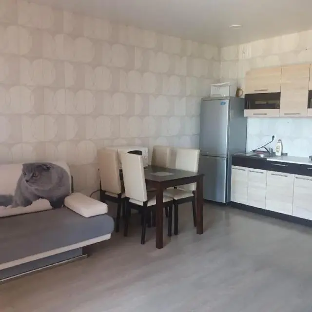 Real photos of Cozy apartment on Krasny Avenue 311