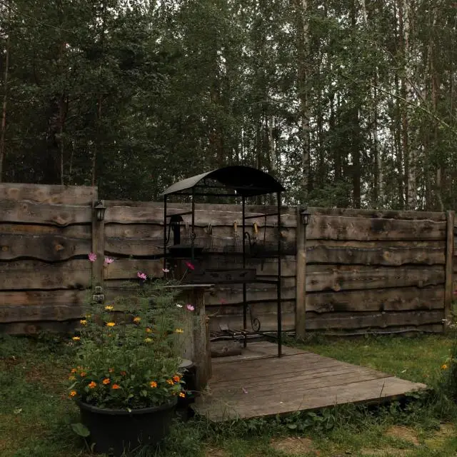 Real photos of Forest Tale