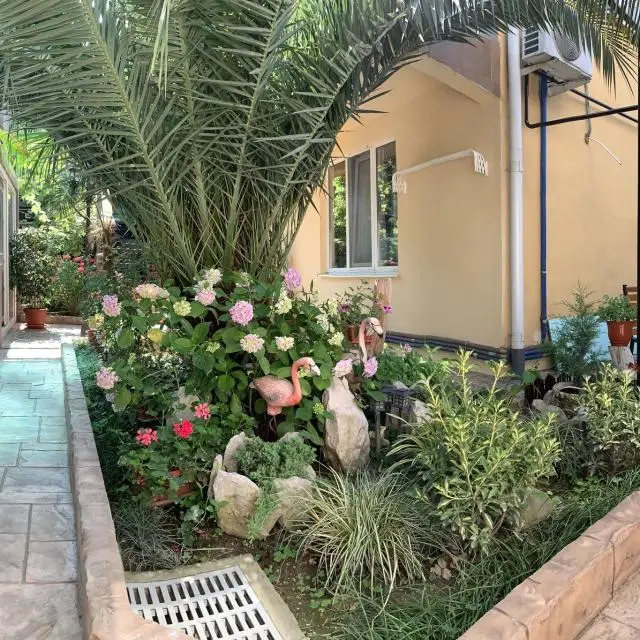 Real photos of Guest House Angelica