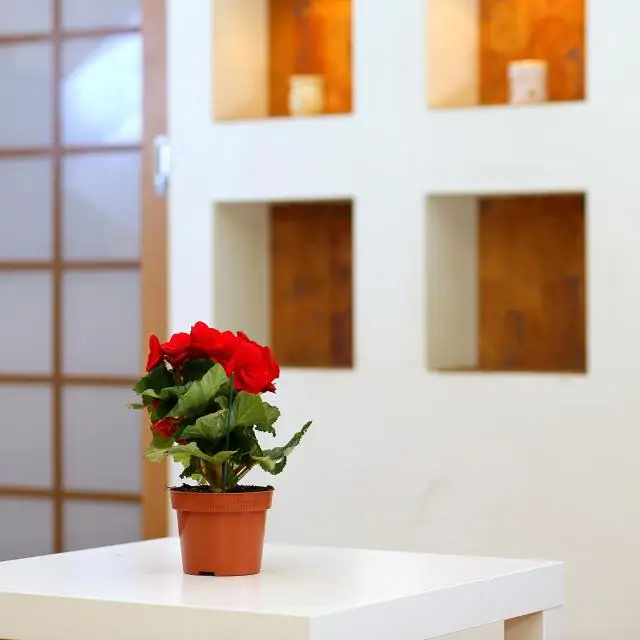 Real photos of Apartments on Mira Avenue 36