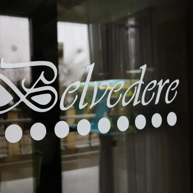 Real photos of Belvedere