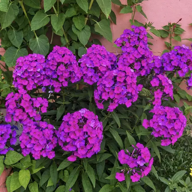 Реальные фото Гостевой дом Семья