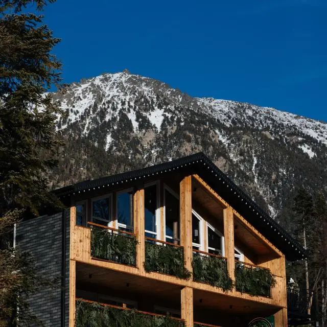 Real photos of Alpina Park