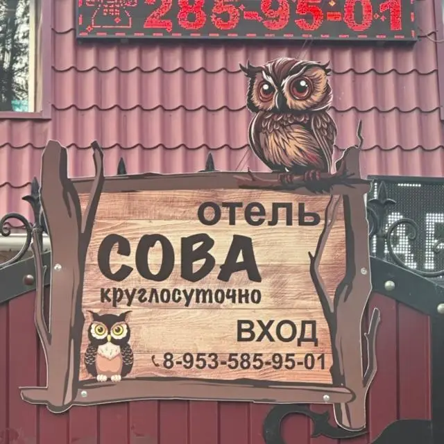 Реальные фото Сова на Авиационной 82