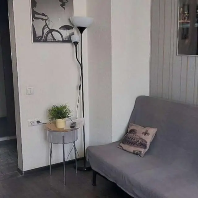 Real photos of Professorskie Apartments at 45 Lenin Avenue