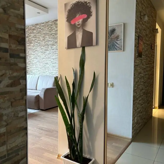 Real photos of Studio apartment on Civil 27