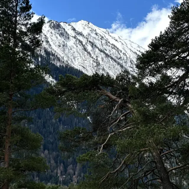 Real photos of Coniferous Valley