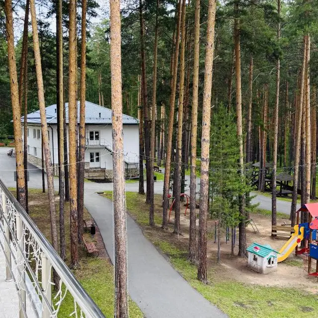 Real photos of Ivolga  