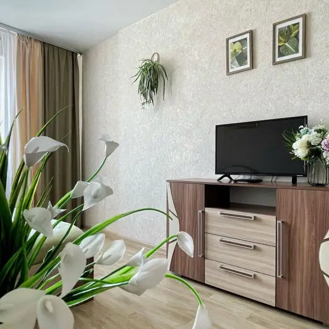 Real photos of Apartments on Leninsky Prospekt 124B