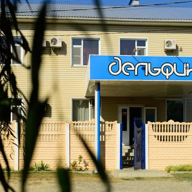 Реальные фото Дельфин