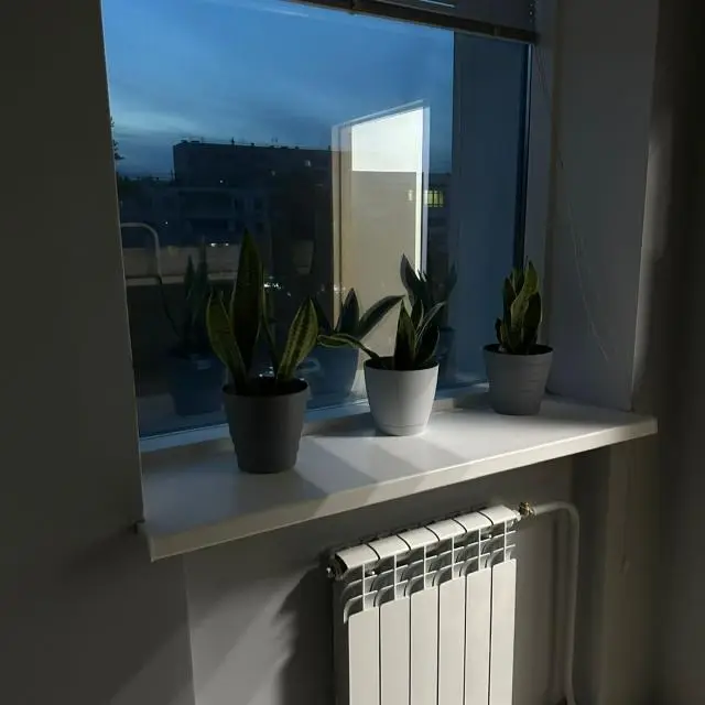 Real photos of Kvartirant