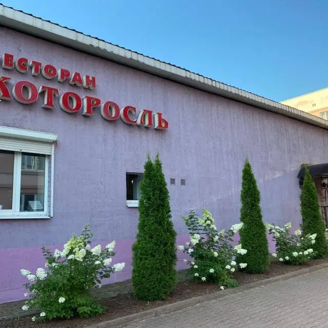 Real photos of Kotorosl