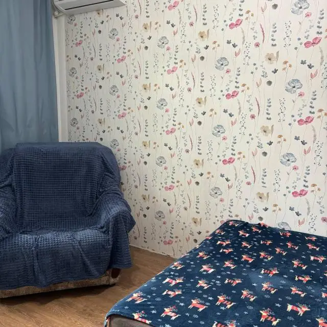 Real photos of Apartment at Valeevna's on Alexandrovskaya street