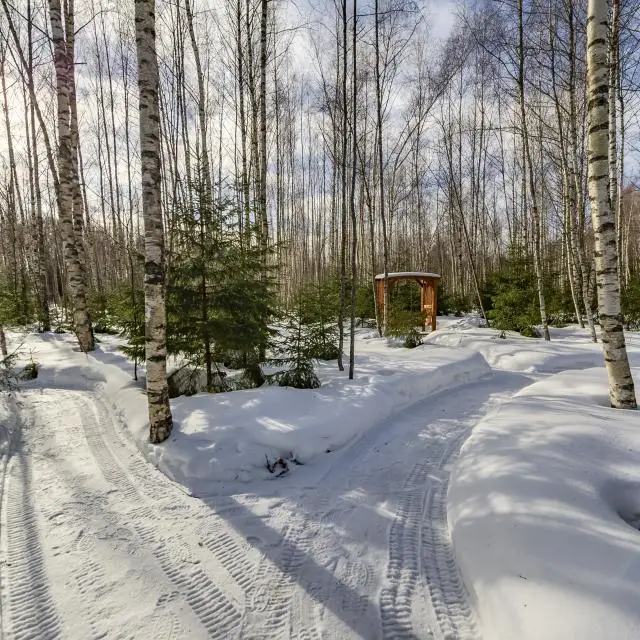 Real photos of Sled Losya