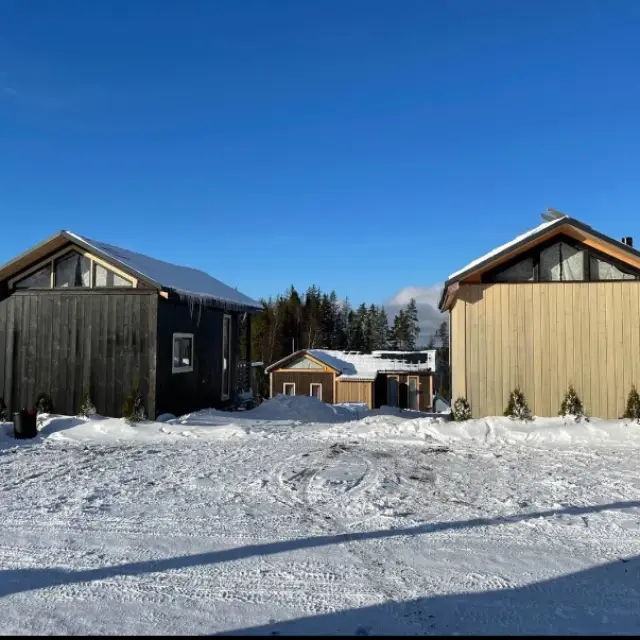 Real photos of Igor's cottage