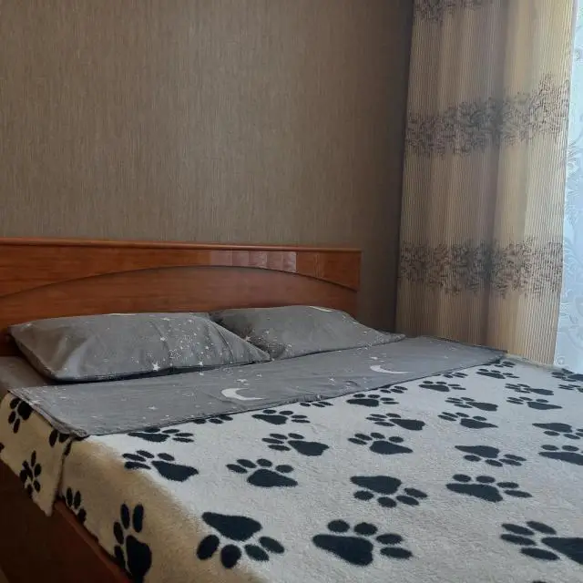Real photos of Apartments in the Olympic Town 2 microdistrict (#3)