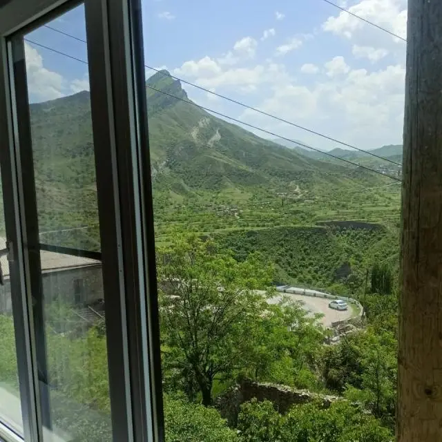 Реальные фото Пение птиц