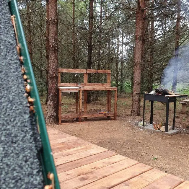 Real photos of neDacha