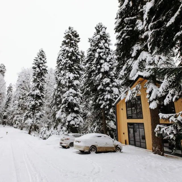Real photos of Shantivillas