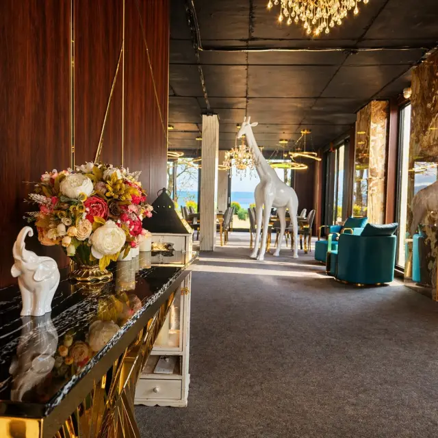 Real photos of Dolce Vita Club