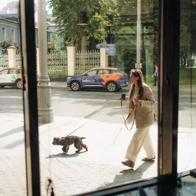 Real photos of SADU Moscow member of Raddisson Individuals 