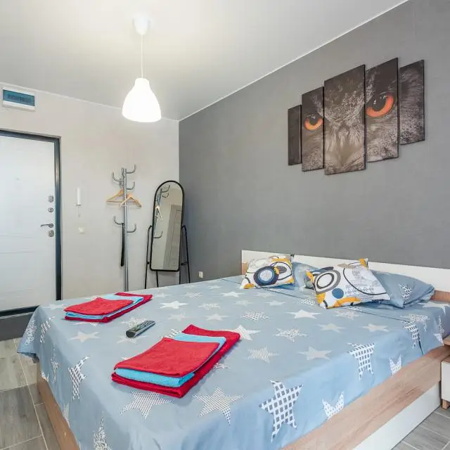 Real photos of Apartments on Vladimirskaya Street
