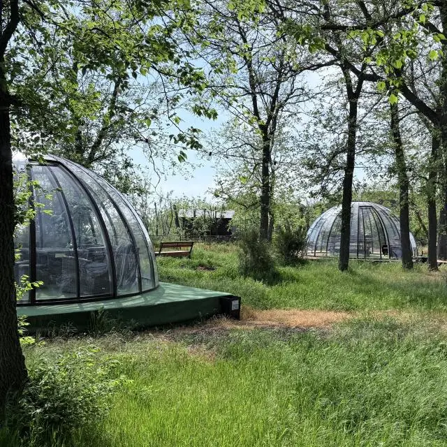 Реальные фото Панорама загородный клуб