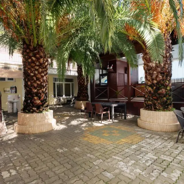 Real photos of Palma park