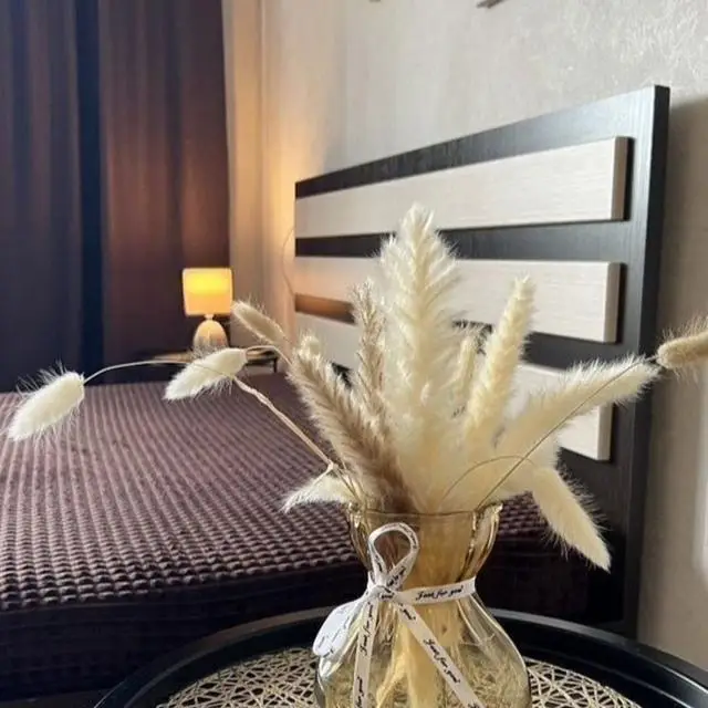 Real photos of Studio apartment on Palm Street 5