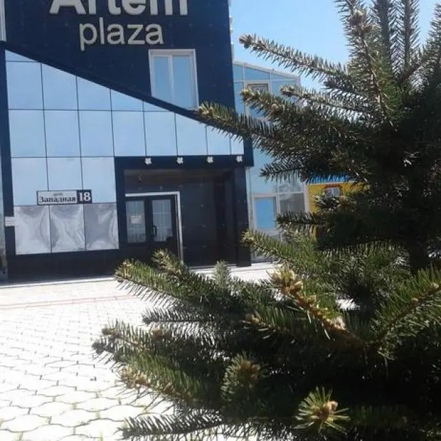 Real photos of Artem Plaza