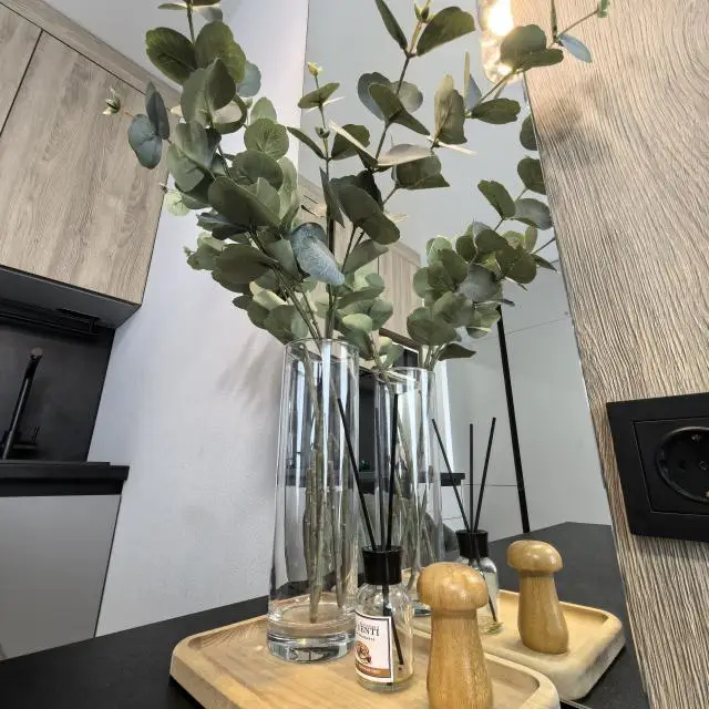 Real photos of AsaPro studio near Vladykino metro station