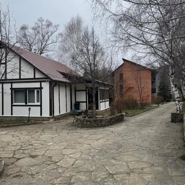 Real photos of Woodland
