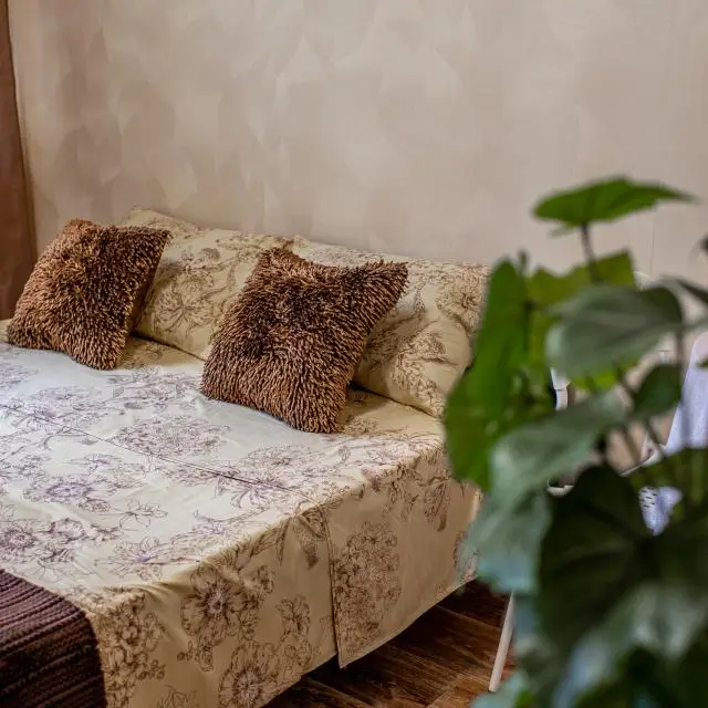 Real photos of Studio Parisian Dream