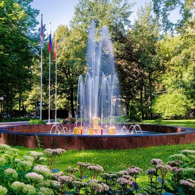 Реальные фото Парк-Отель Шереметьевский