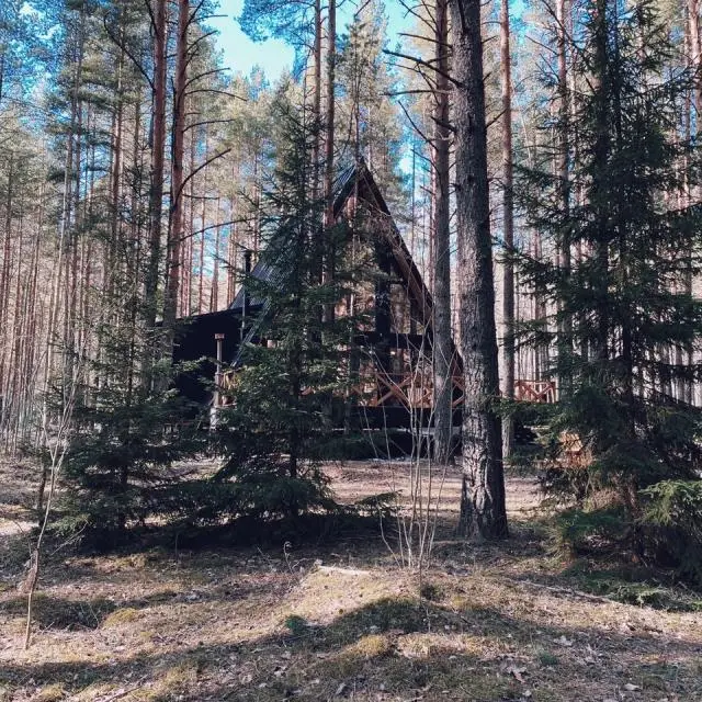Real photos of The Lagom