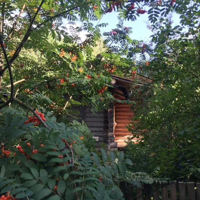 Real photos of Arkhangelskaya dacha