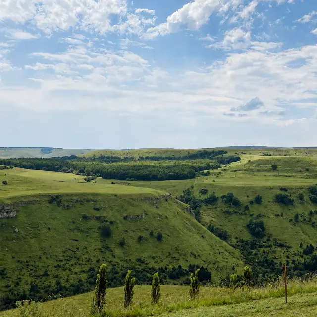 Real photos of M Horizont