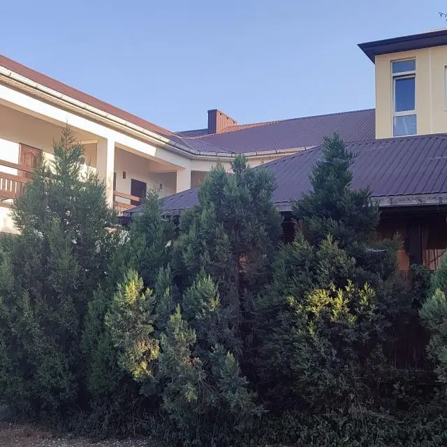 Real photos of Guest House Rose Garden