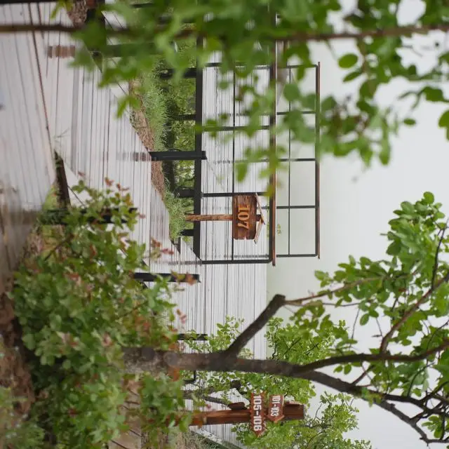 Real photos of Eco House Glamping by ART HOTEL
