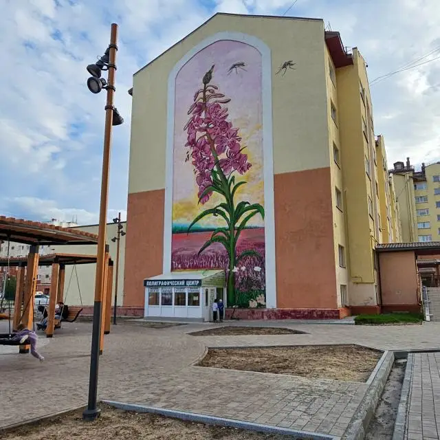 Реальные фото Мириады в микрорайоне Оптимистов 4/1