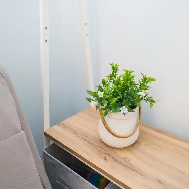 Real photos of Apartment Cherry