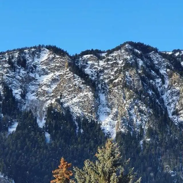 Real photos of Mountain view apartments in the resort village of Teberda