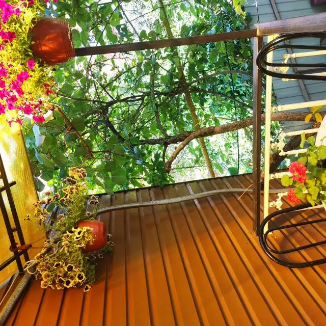 Real photos of House by the Sea