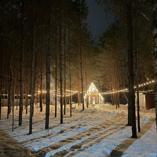 Real photos of A-frame in a pine forest near Lake Klyuchik