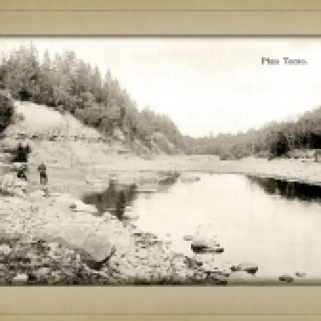 Real photos of Tosno