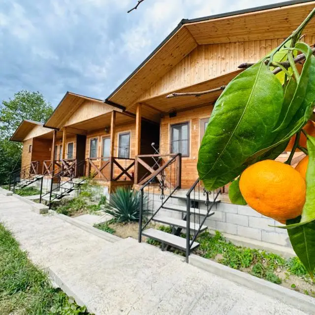 Real photos of Wonderful Garden Guest House