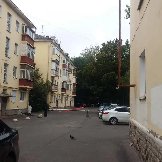 Real photos of Vologda-gda on Predtechenskaya Street