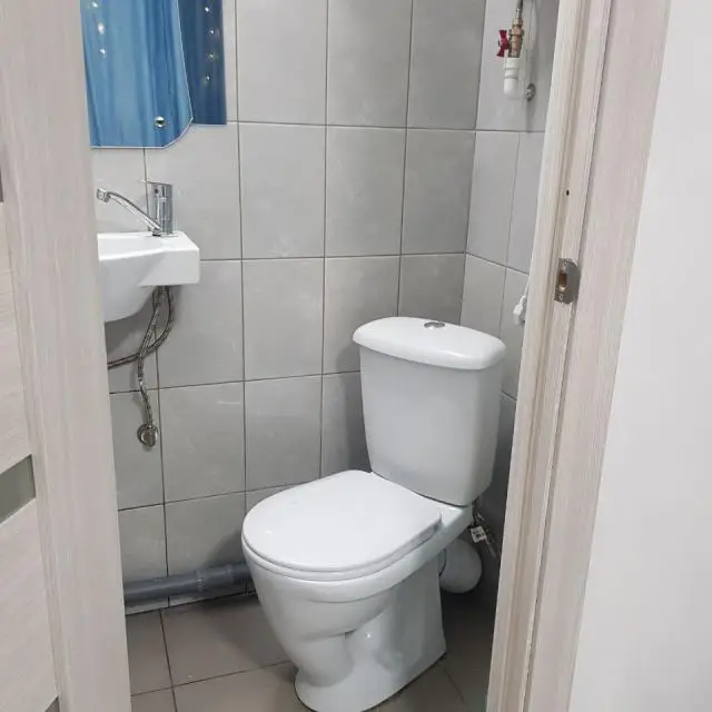 Real photos of Pogostim