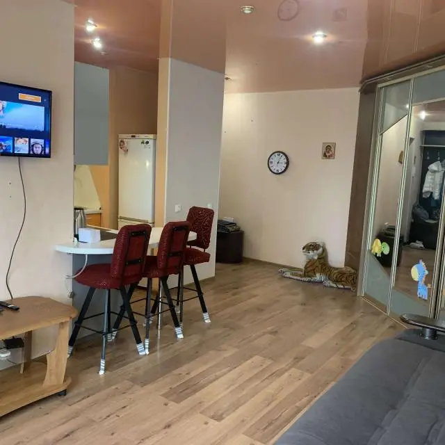 Real photos of Apartments on Kalinina street 1
